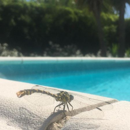 Maison Proche De Hyeres Avec Piscine Privee, Terrasse Et Jardin La Farlède エクステリア 写真