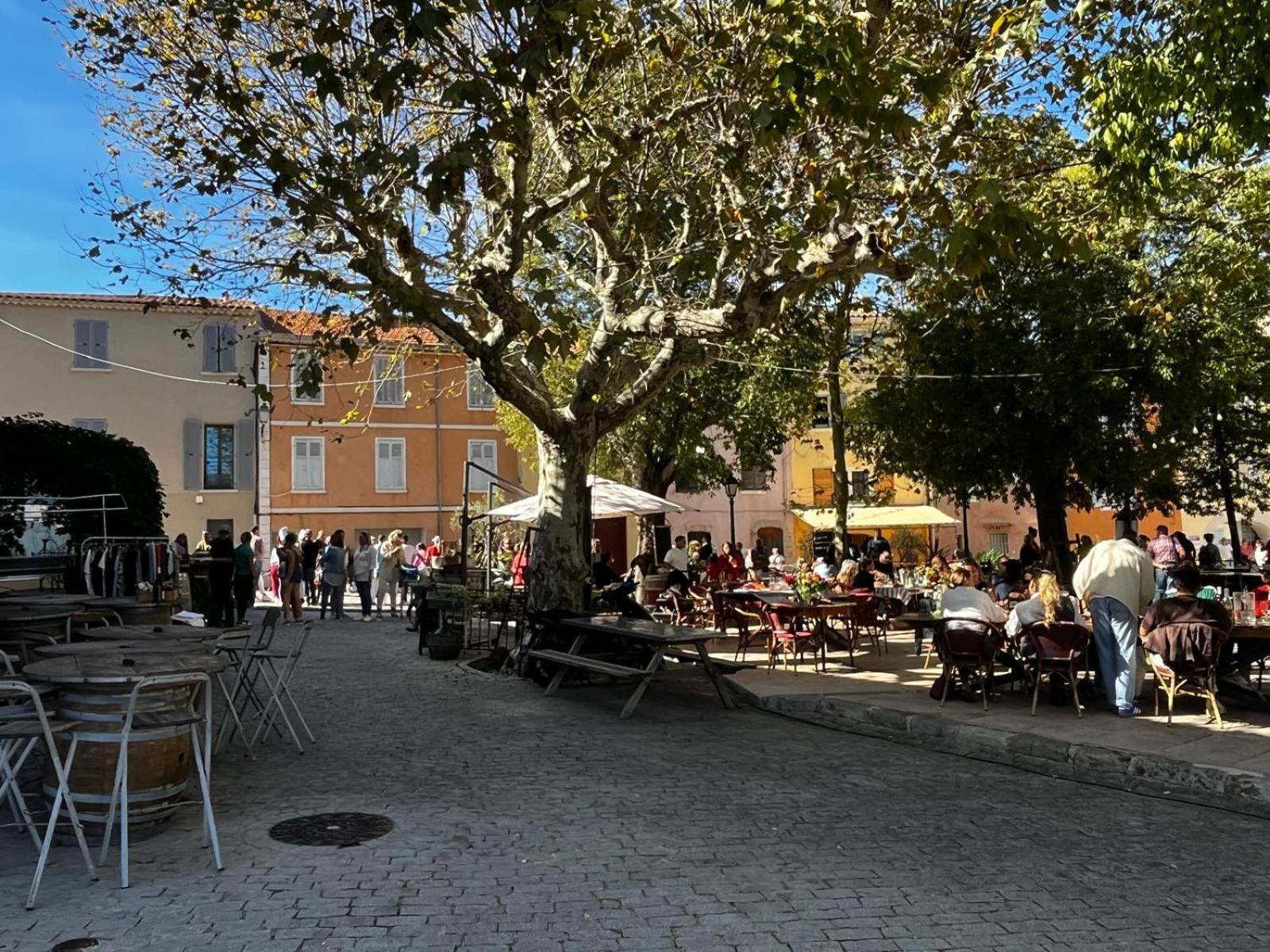 Maison Proche De Hyeres Avec Piscine Privee, Terrasse Et Jardin La Farlède エクステリア 写真